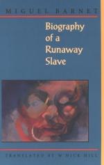 Biography of a Runaway Slave