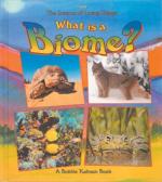 Biome by 