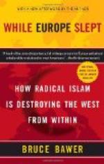 While Europe Slept by Bruce Bawer