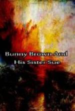 Bunny Brown and his Sister Sue