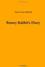 Bunny Rabbit's Diary by 