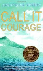 Call It Courage (BookRags)