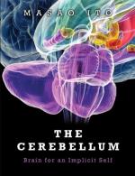Cerebellum by 