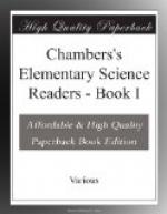 Chambers's Elementary Science Readers by 