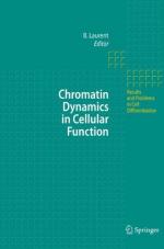 Chromatin by 