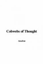 Cobwebs of Thought by 