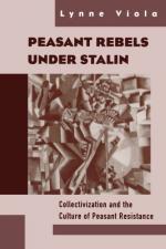 Collectivisation in the USSR by 