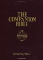 Companion to the Bible by 