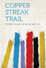 Copper Streak Trail by 