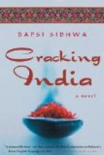 Cracking India by 