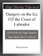 Dangers on the Ice Off the Coast of Labrador by 