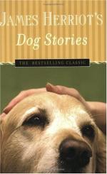 Dog Stories by James Herriot