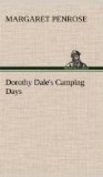 Dorothy Dale's Camping Days
