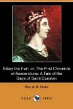 Edwy the Fair or the First Chronicle of Aescendune by 