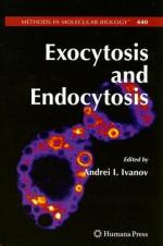 Endocytosis by 