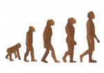 Evolution by 