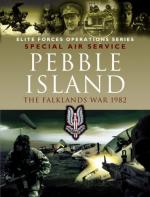 Falklands War by 
