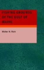 Fishing Grounds of the Gulf of Maine by 