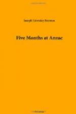 Five Months at Anzac by 
