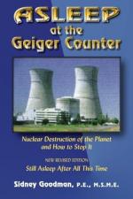 Geiger counter by 