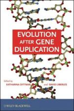 Gene duplication by 