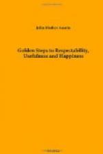 Golden Steps to Respectability, Usefulness and Happiness by 
