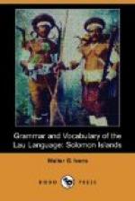 Grammar and Vocabulary of the Lau Language by 