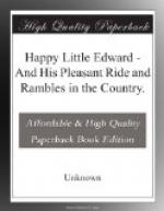 Happy Little Edward by 