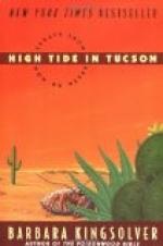 High Tide in Tucson