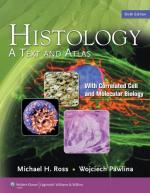 Histology by 