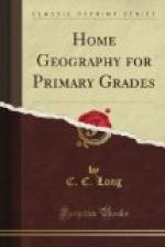 Home Geography for Primary Grades by 