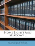Home Lights and Shadows by Timothy Shay Arthur