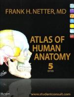 Human anatomy by 
