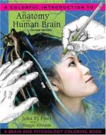 Human brain by 