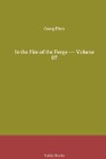 In the Fire of the Forge — Volume 07 by Georg Ebers
