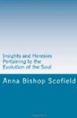 Insights and Heresies Pertaining to the Evolution of the Soul by 