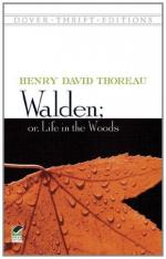 Intro to Woods Essay by 