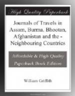 Journals of Travels in Assam, Burma, Bhootan, Afghanistan and the