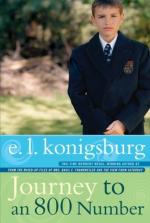 Journey to an 800 Number by E. L. Konigsburg
