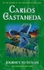Journey to Ixtlan: The Lessons of Don Juan by Carlos Castaneda