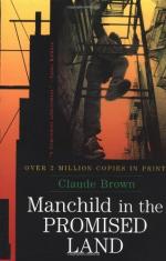 Manchild in the Promised Land by 