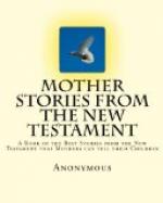Mother Stories from the New Testament by 