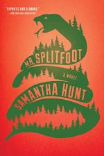 Mr. Splitfoot by Samantha Hunt