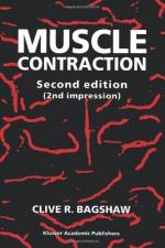 Muscle contraction by 