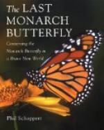 New Monarchs by 