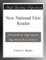 New National First Reader by 