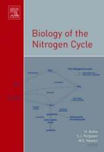 Nitrogen cycle by 