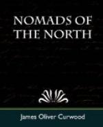 Nomads of the North