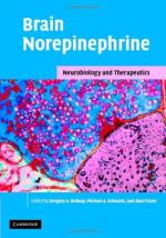 Norepinephrine by 