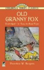 Old Granny Fox by Thornton Burgess
